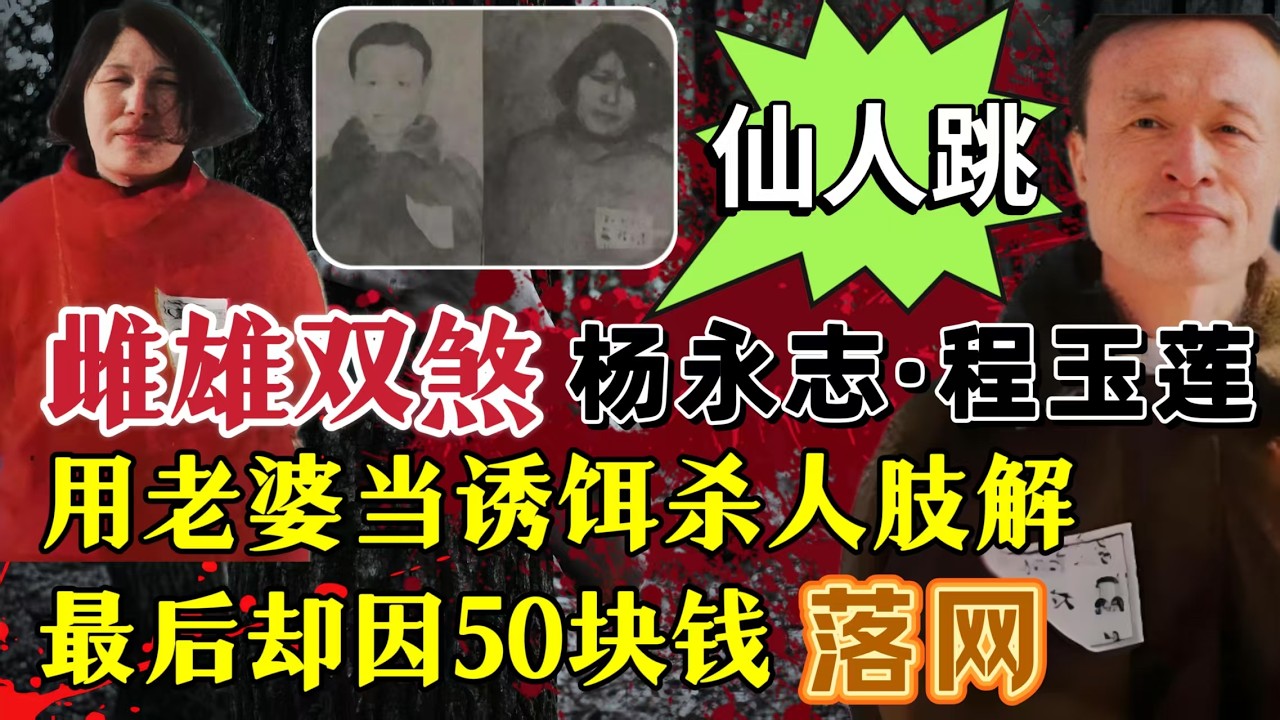 雌雄双煞杨永志·程玉莲，用老婆做诱饵仙人跳、杀人肢解、敲诈勒索、最后却因50块钱落网？#案件調查 #大案紀實 #奇闻大案故事会