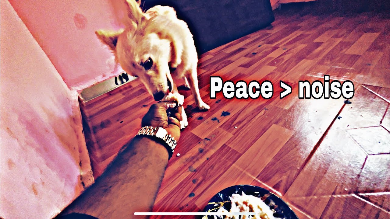This decision brought me peace | Life in Vangini 