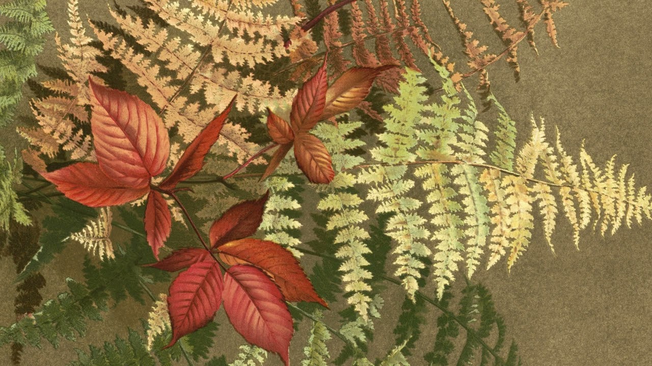 Autumn Ferns by the American artist Ellen Fisher | 4K Frame TV Art