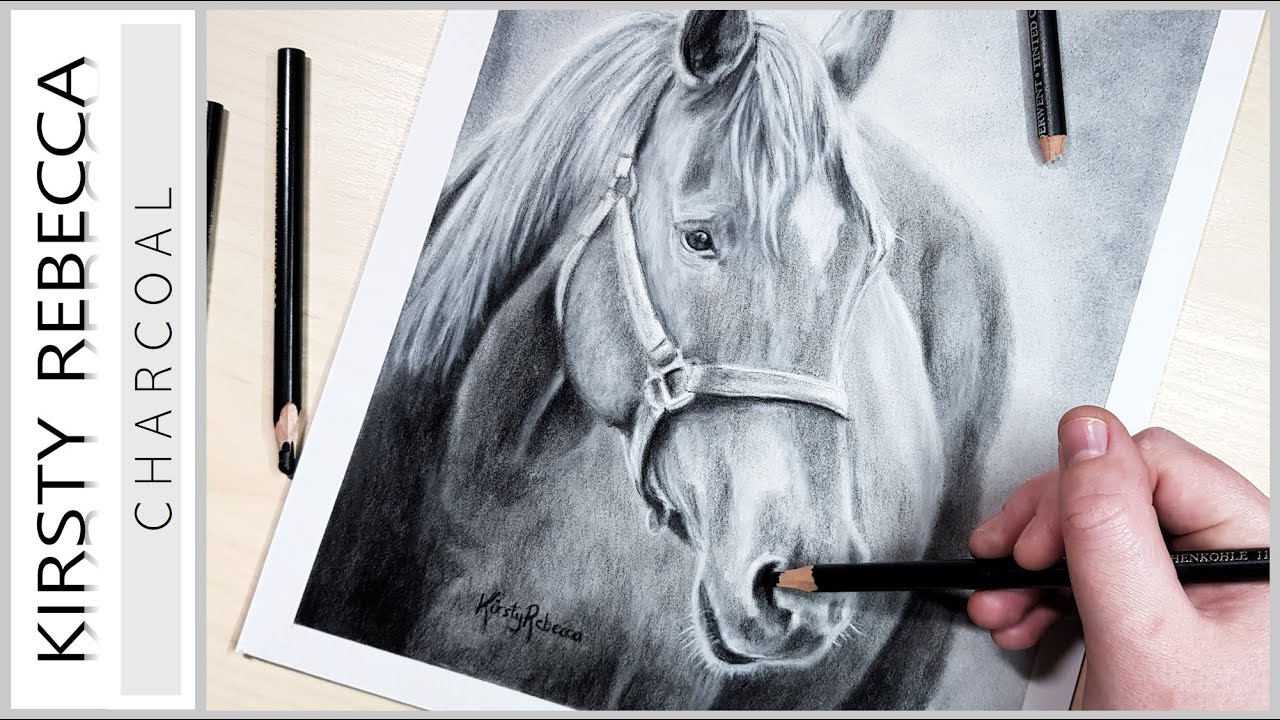 How to draw a horse // CHARCOAL Tutorial // Step by Step!