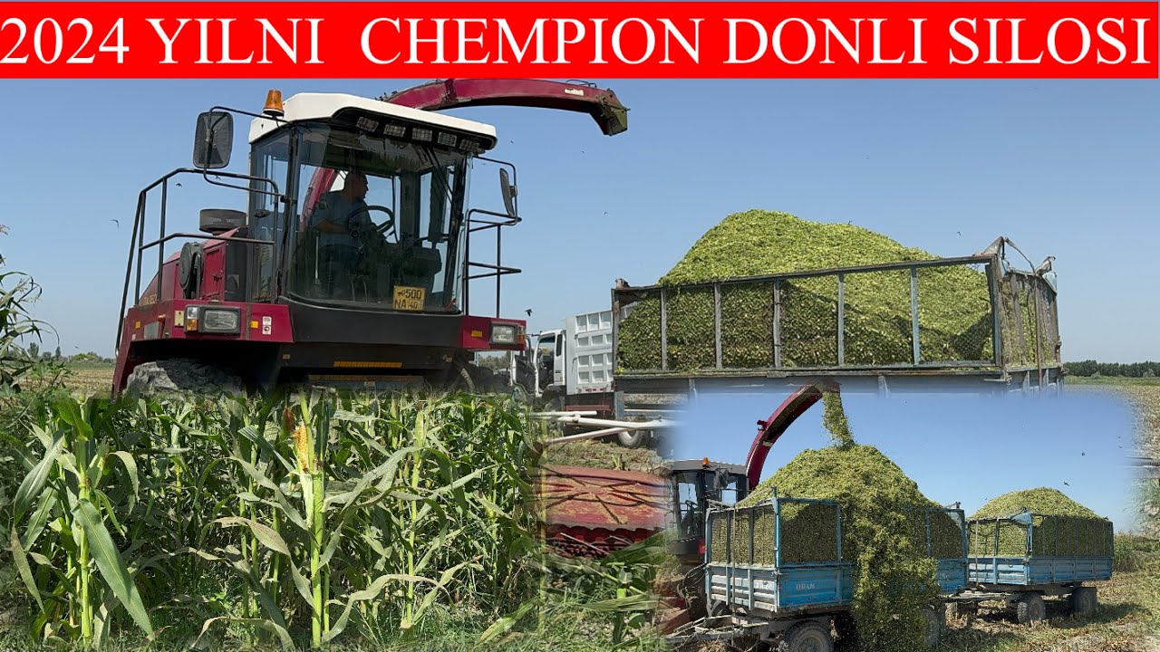 2024  YILNI CHEMPION DONLI SILOSI O’TA SIFATLI SILOS