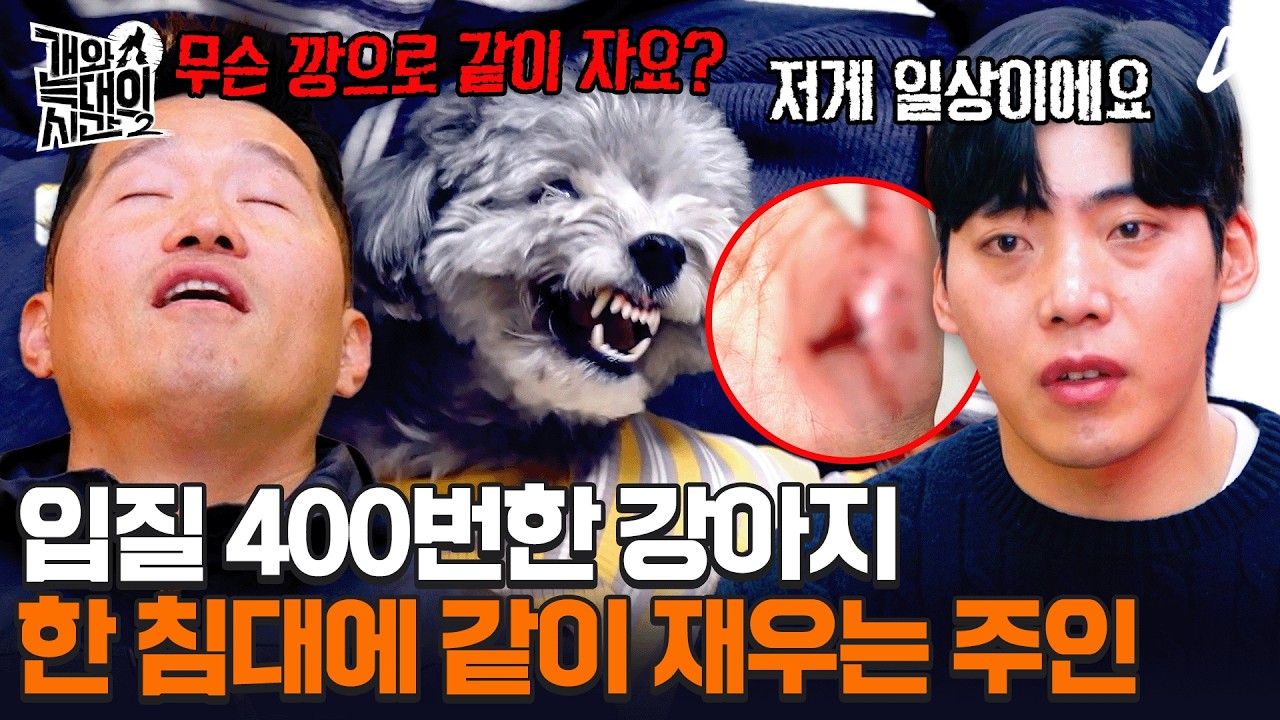 강형욱도 보다 경악한 말티푸의 실체🚨 입질 400번이나 해도 가족끼리 한 침대에서 잔다고?!ㅣ개와 늑대의 시간2