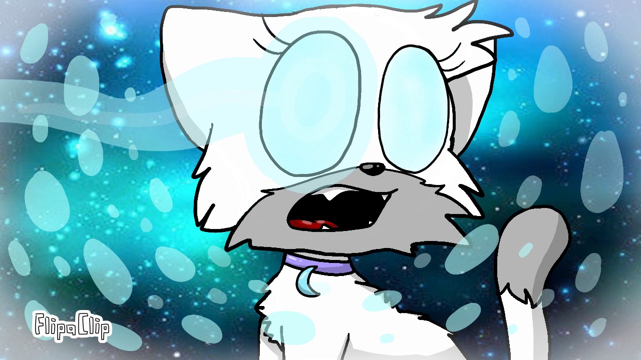 🌌eyes half closed meme🌌  (Supercat tales 2//flipaclip)