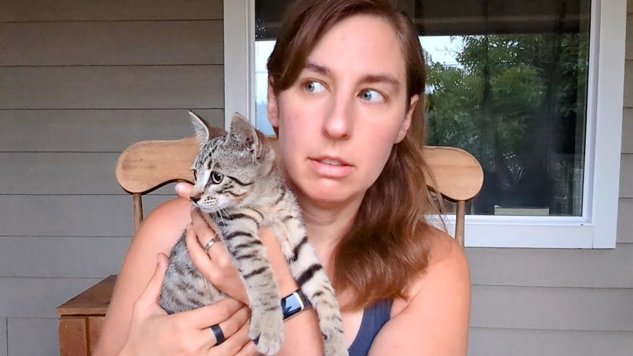 ⏰Is it annoying to have to eat every 2 hours? **High carb (not vegan) day of eating**