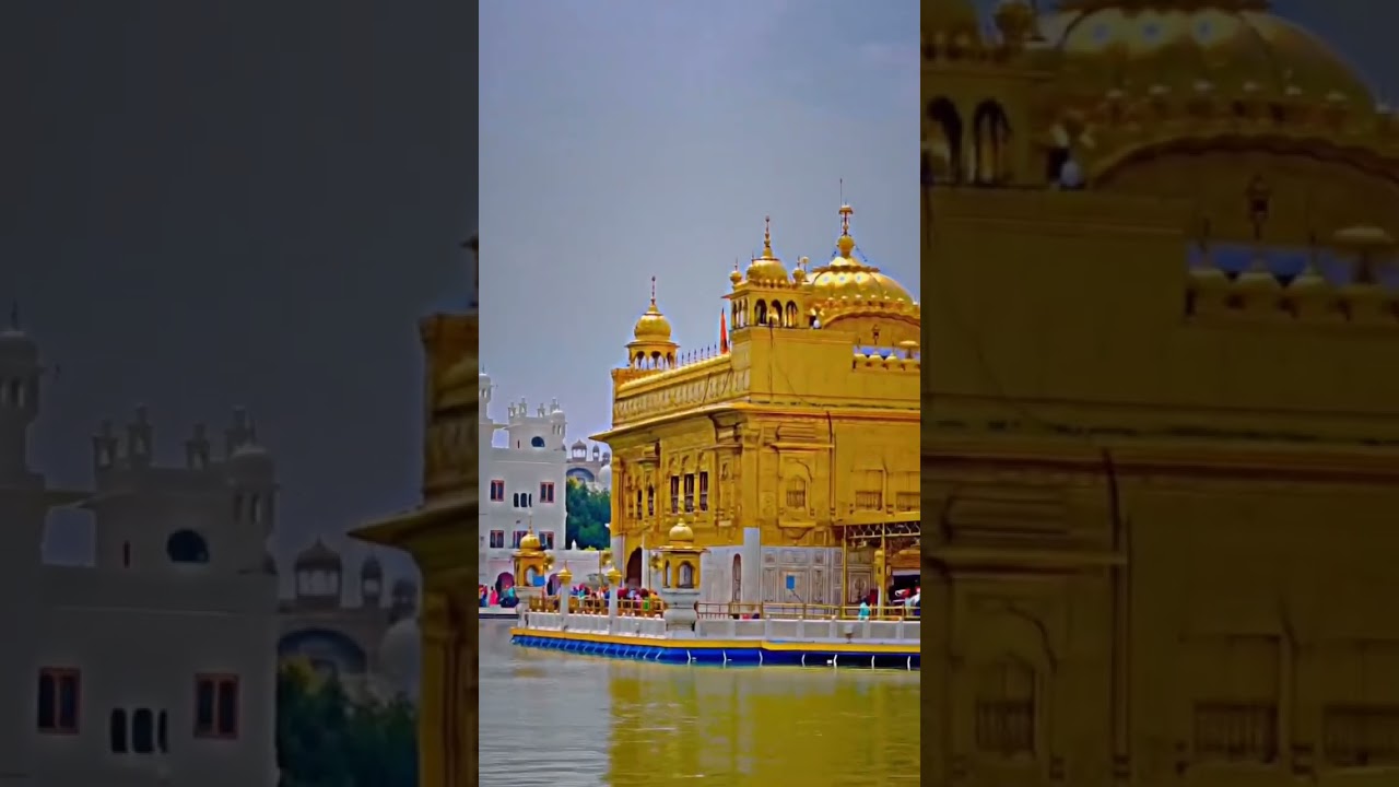#shorts #short #viral #shortvideo#wmk #trending #shortvideo #live  #music #wheguru #gurbani