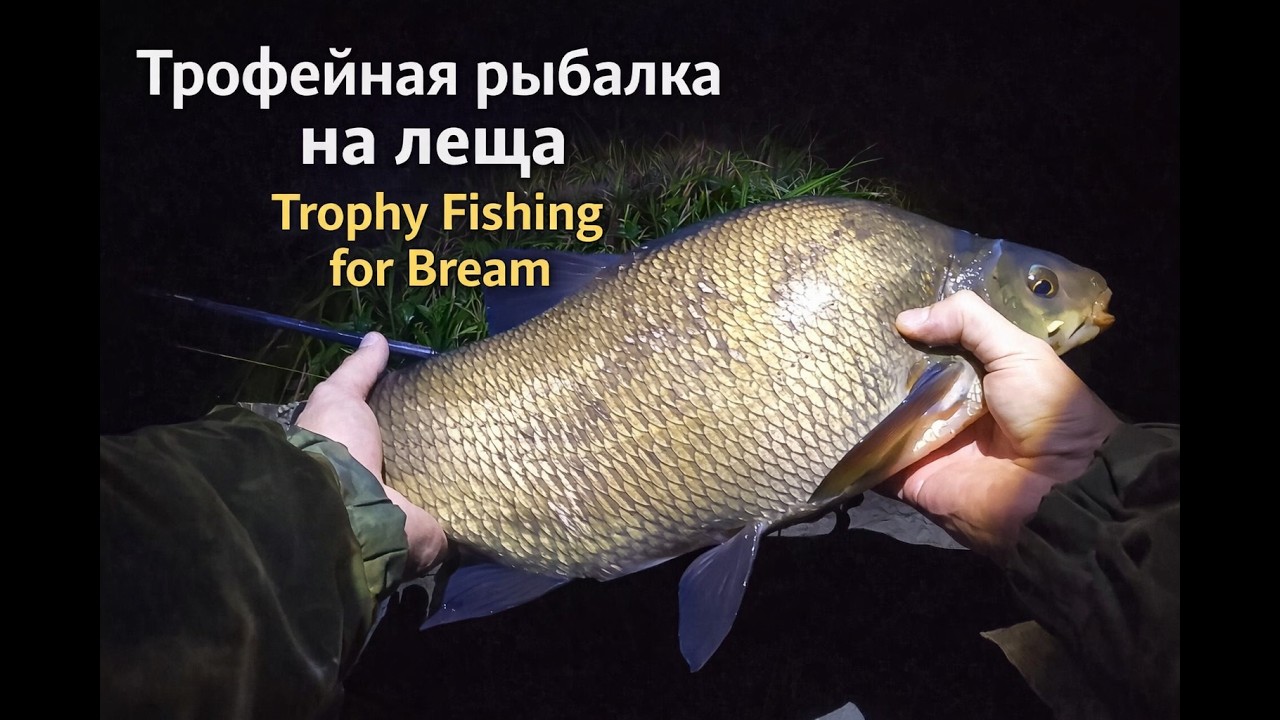 Огромные Лещи Кракены на одной рыбалке