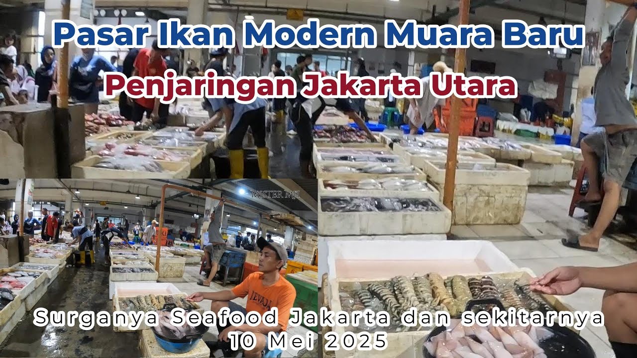 Pasar Ikan Modern Muara Baru Jakarta Utara | Beli ikan laut segar #muarabarujakarta