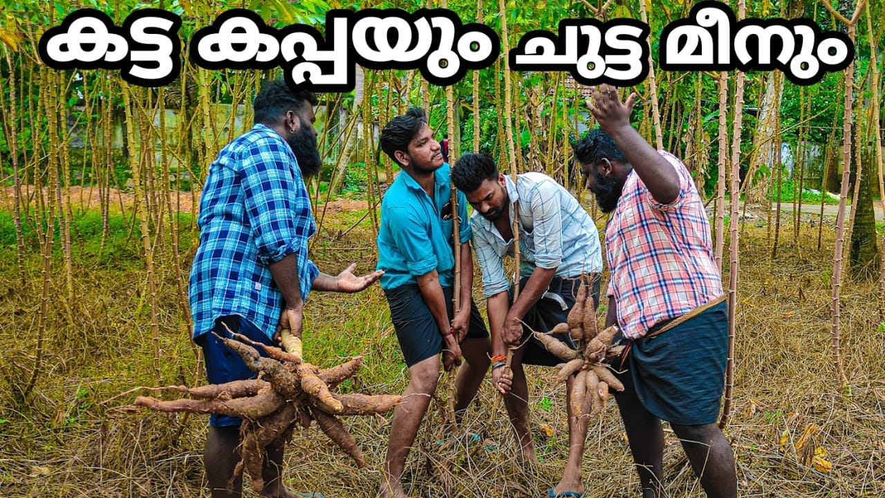 കട്ട കപ്പയും ചുട്ട മീനും 😁