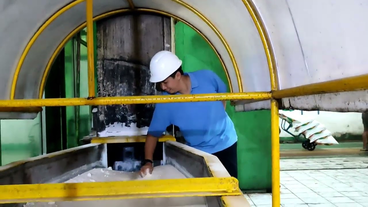 Proses Pengemasan Gula | Pabrik Gula Kremboong