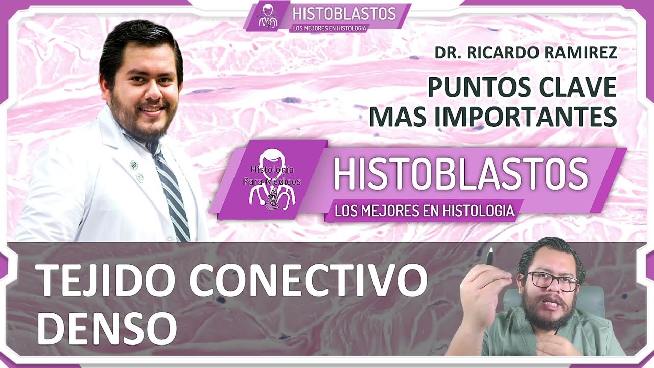 HISTOLOGIA | TEJIDO CONECTIVO DENSO