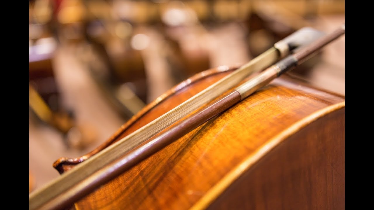 Cómo usar el ARCO del Violonchelo