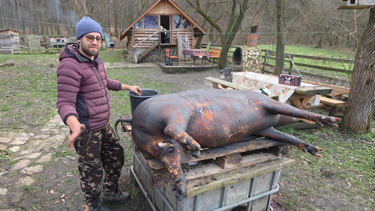 IGNATUL PORCULUI la ȚARĂ 🐖🔥 Datini și Obiceiuri Străvechi | Tradiții Rom&acirc;nești ca odinioară