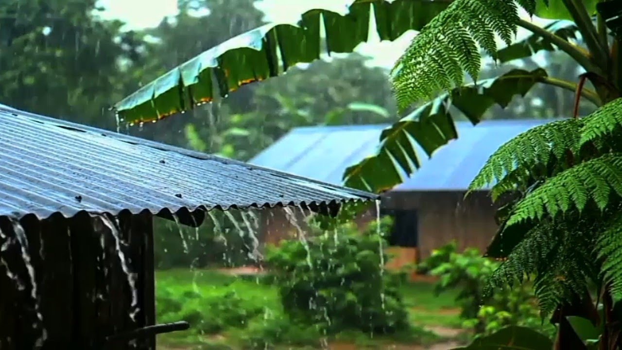 The sound of heavy rain is good for relaxing and relieving insomnia. @AIMAN-NATURE 