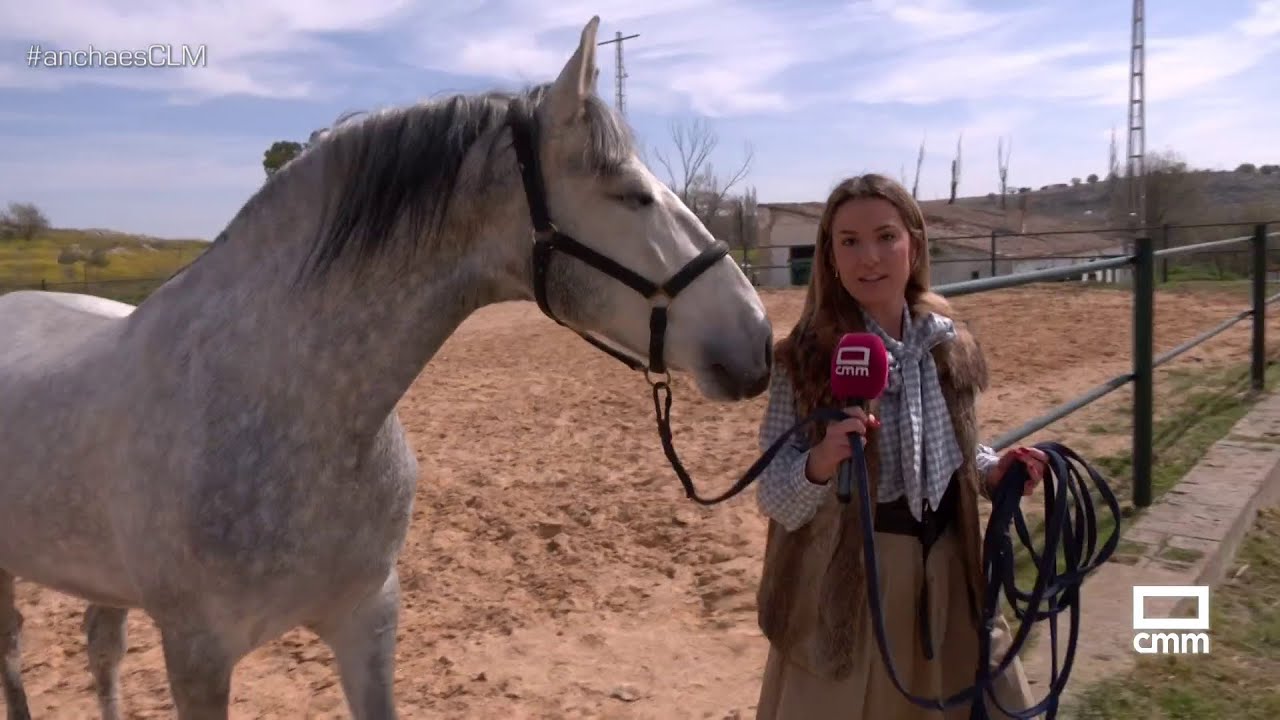 La yeguada 'Fernández de la Vega' tiene nuevos habitantes | Ancha es Castilla-La Mancha