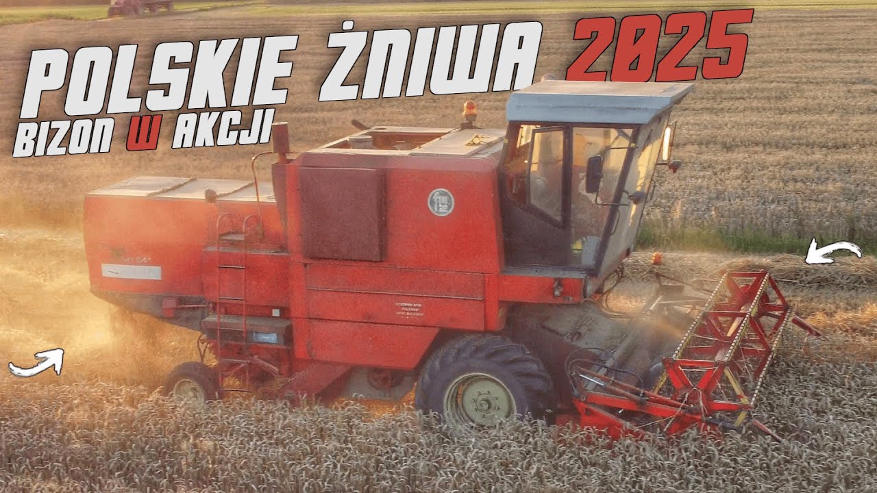 🔥Kr&oacute;l Polskich P&oacute;l - Bizon Z050🔥Polskie Żniwa 2025 w Ł&oacute;dzkim🔥GR. Ciechomscy🔥