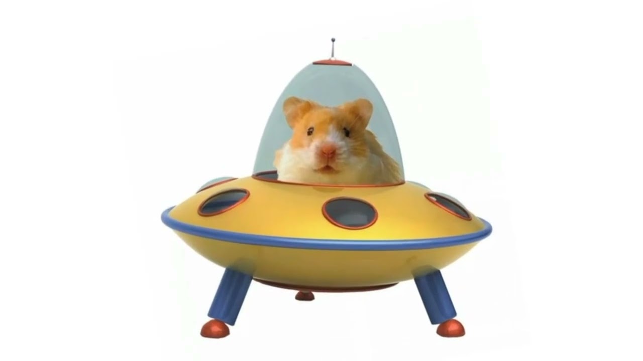 Tugas KKA Tentang Multimedia 