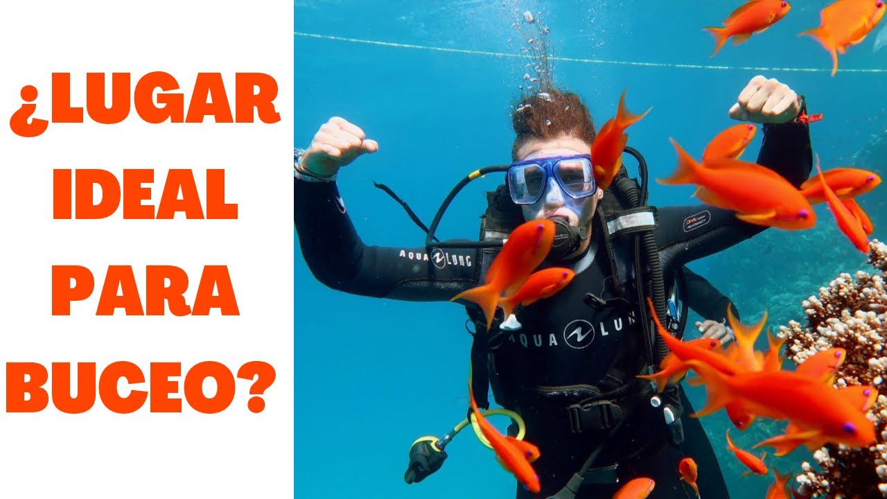 ASI ES EL BUCEO EN EL MAR ROJO, EGIPTO 🇪🇬🐠