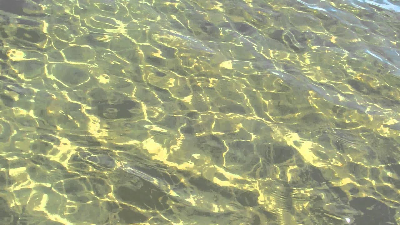 Our little house in Hopkins Belize is right on the beach and just $250 USD!