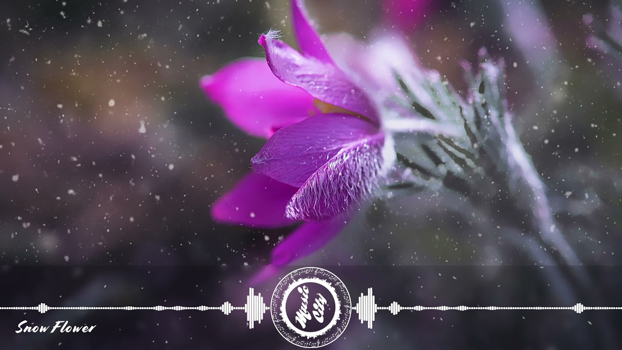 Adelyn Paik - Snow Flower