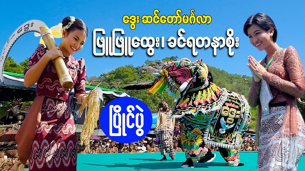 ဖြူဖြူထွေး ဒူးတွေတောင်ပြဲတယ် ကျောက်ဆည်ဆင်ပြိုင်ပွဲ Dway Elephant 2025