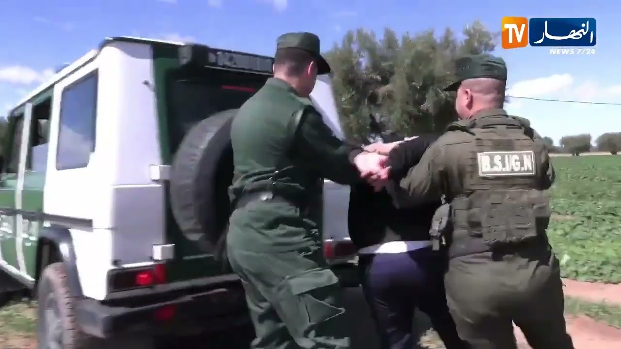شاهد 😮الدرك الوطني تحاصر اللصوص في حقول الزيتون و تفكك شبكة خطيرة لسرقة المواشي بسيدي بلعباس