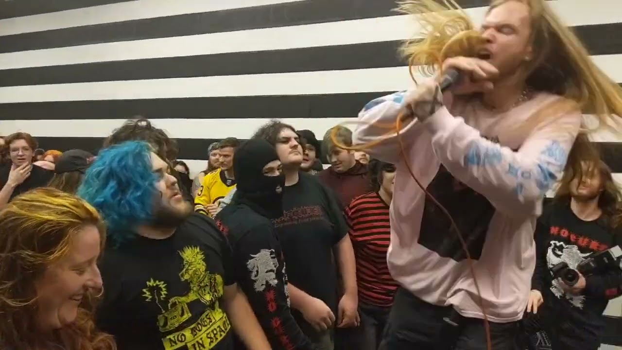 No Cure - Open Wide | DIY LIVE