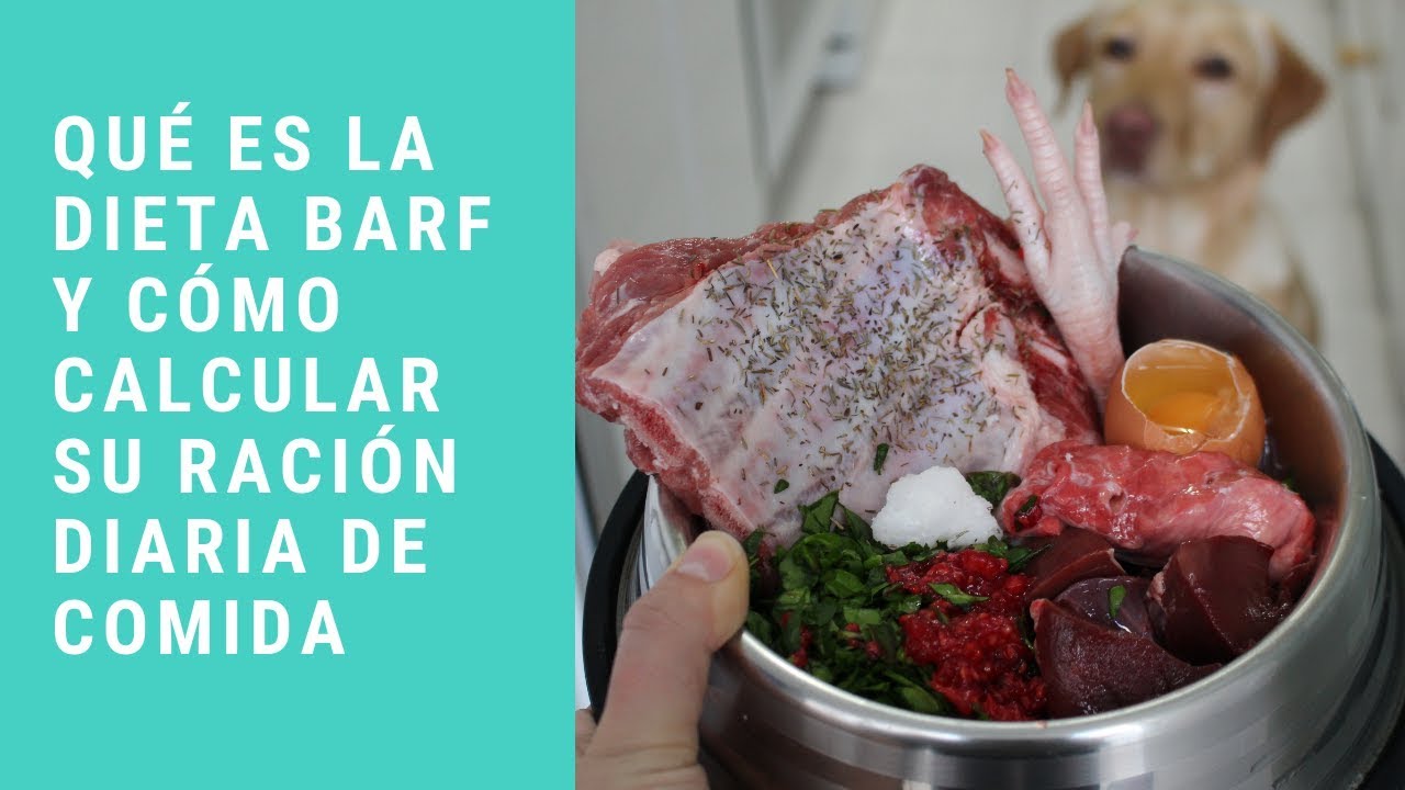 QUÉ ES LA DIETA BARF Y CÓMO CALCULAR LA RACIÓN DIARIA DE ALIMENTO