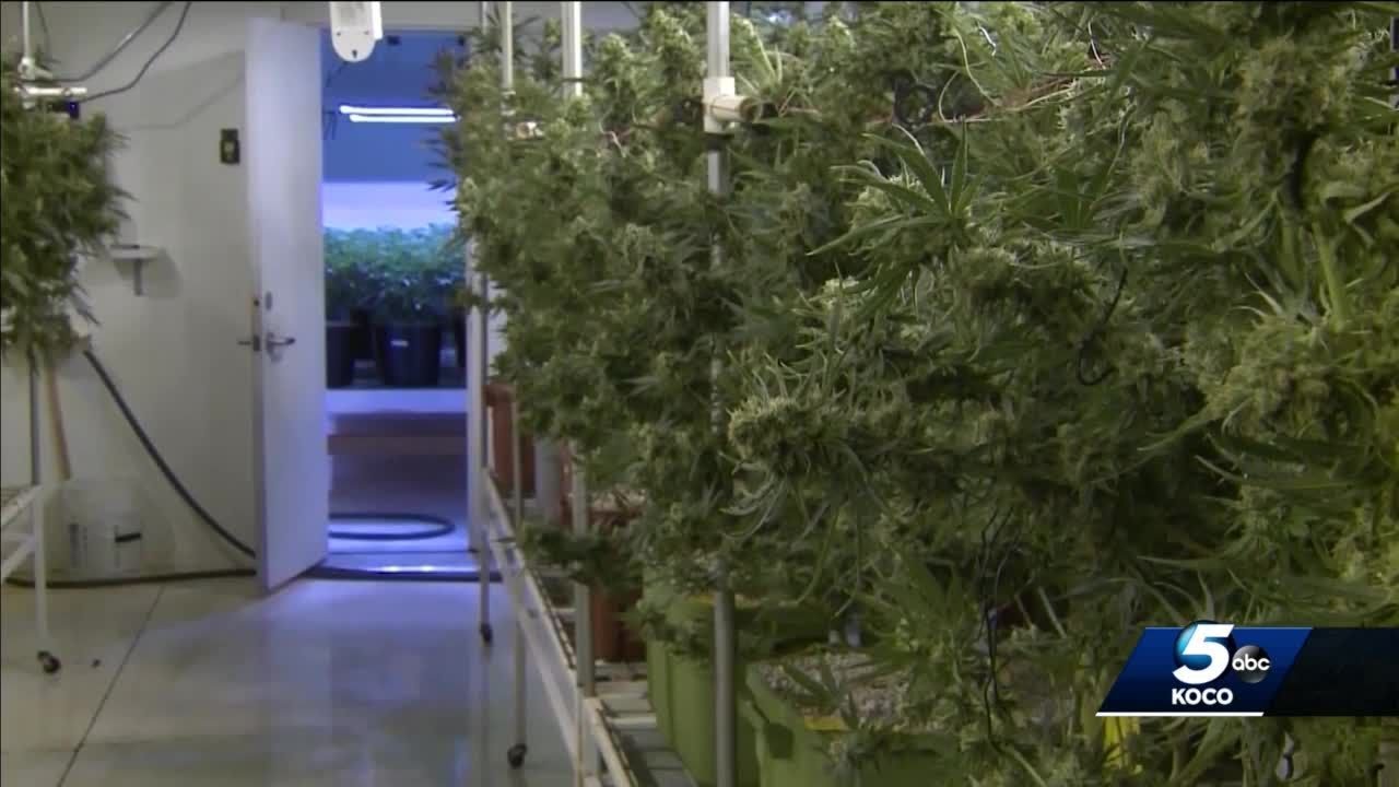 Group submits signatures in effort to legalize recreational marijuana in Oklahoma