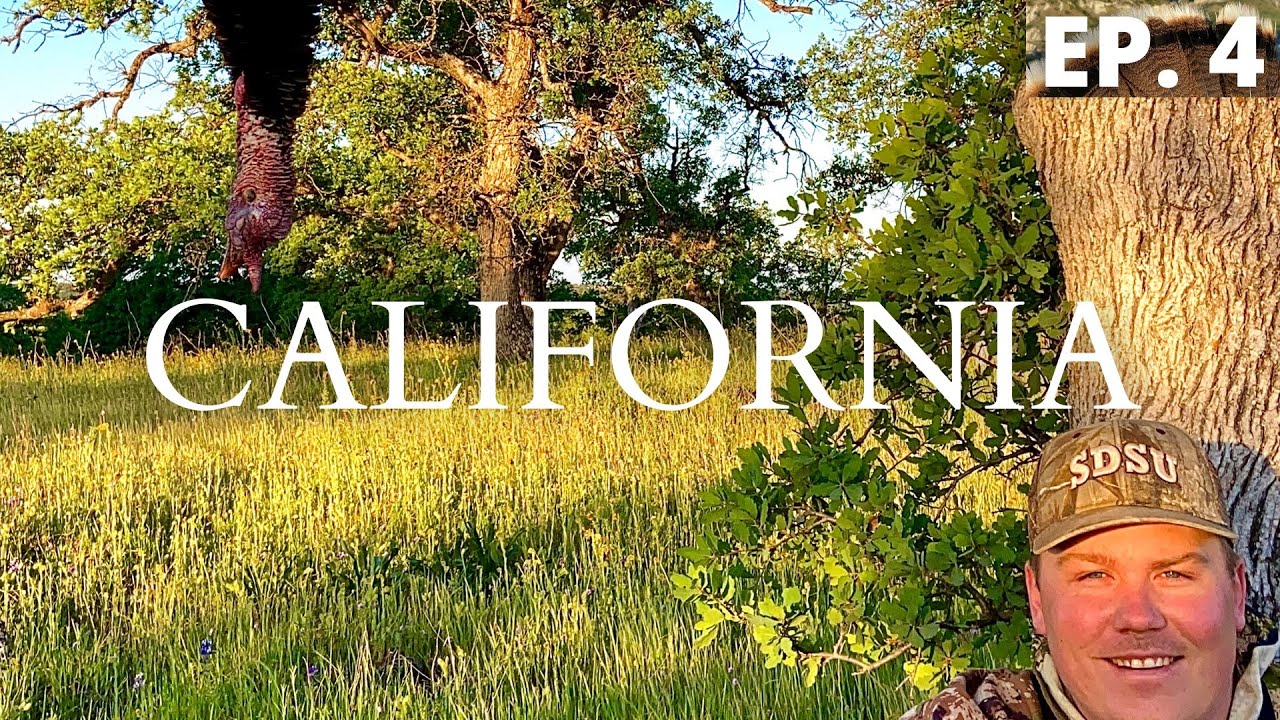 PUBLIC LAND SUCCESS!!! | California Turkey Hunting
