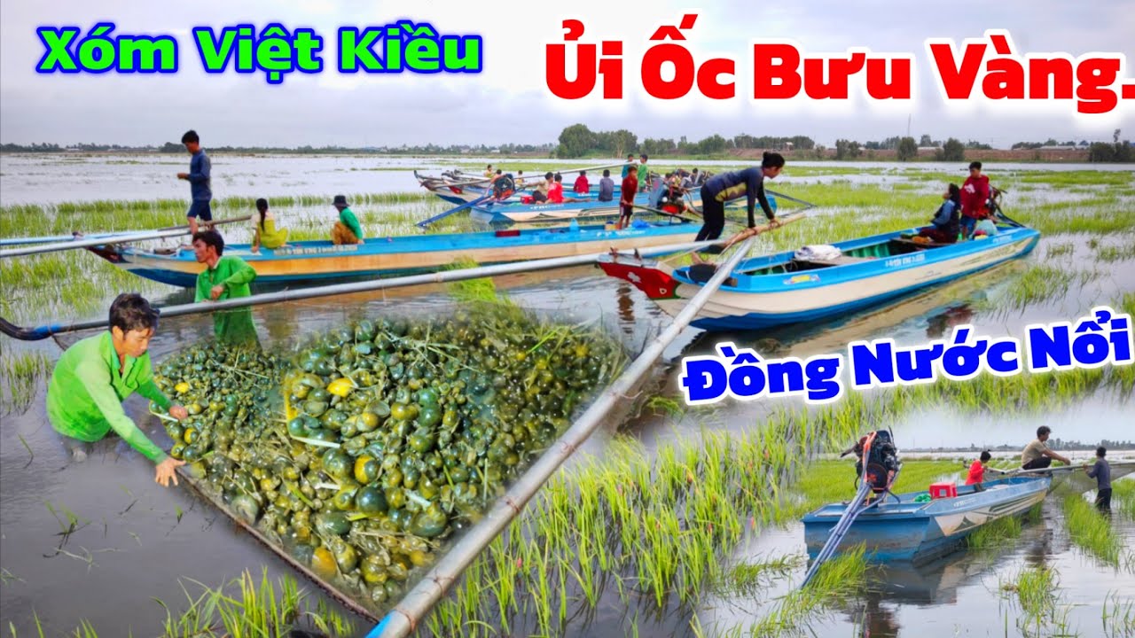 Ùn ùn