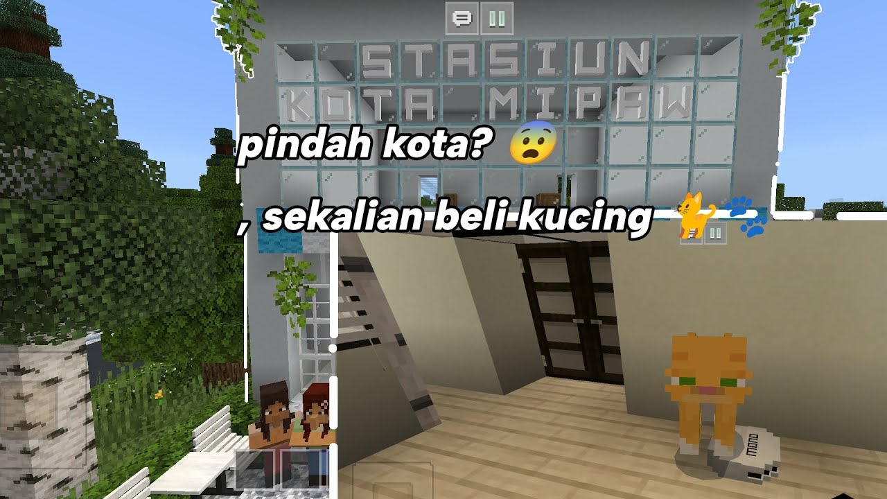 Pindah kotaa, sekalian beli kucing!!🐈‍🐾 || cr:milkycake kota by:milkycake