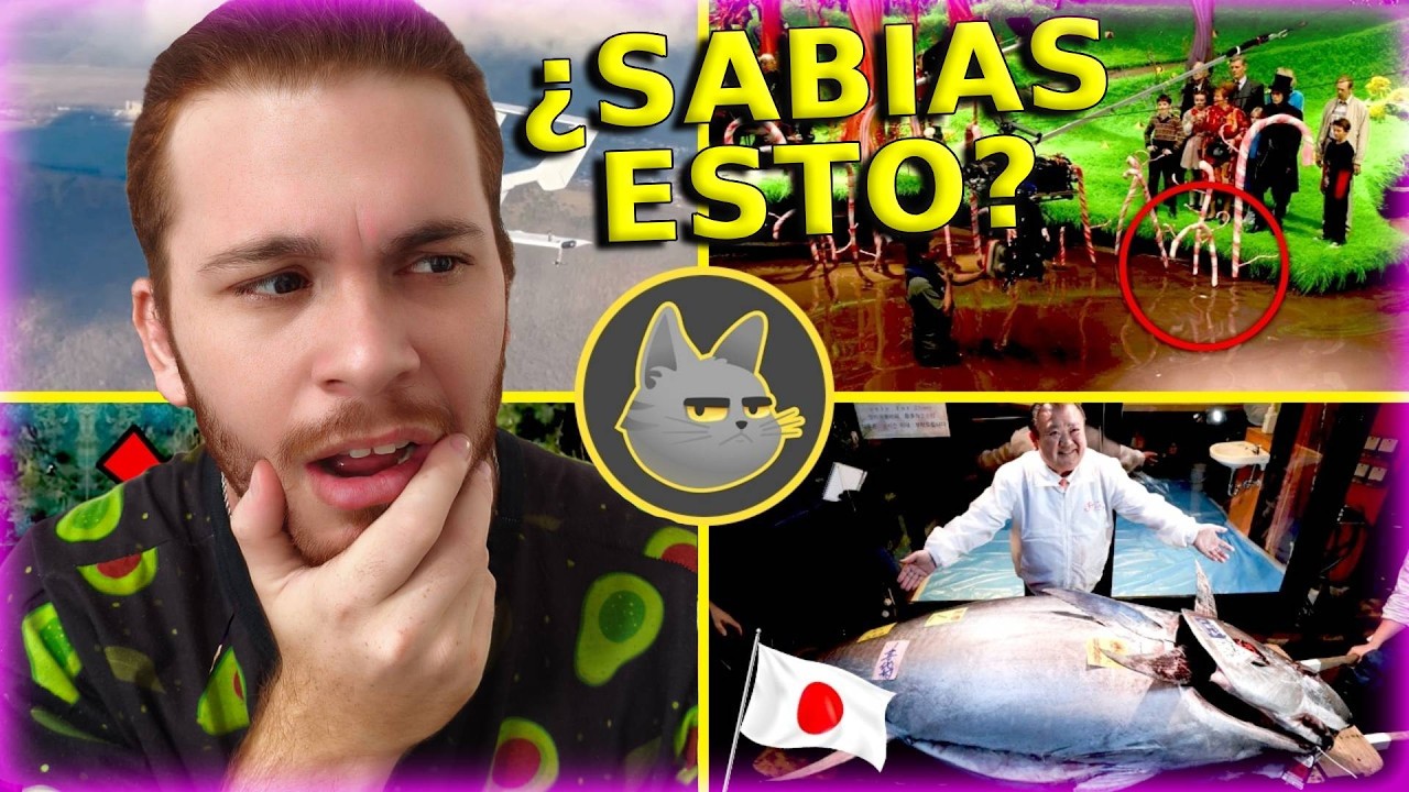 Curioseando datos curiosos ⏰😉| Curioso Ben