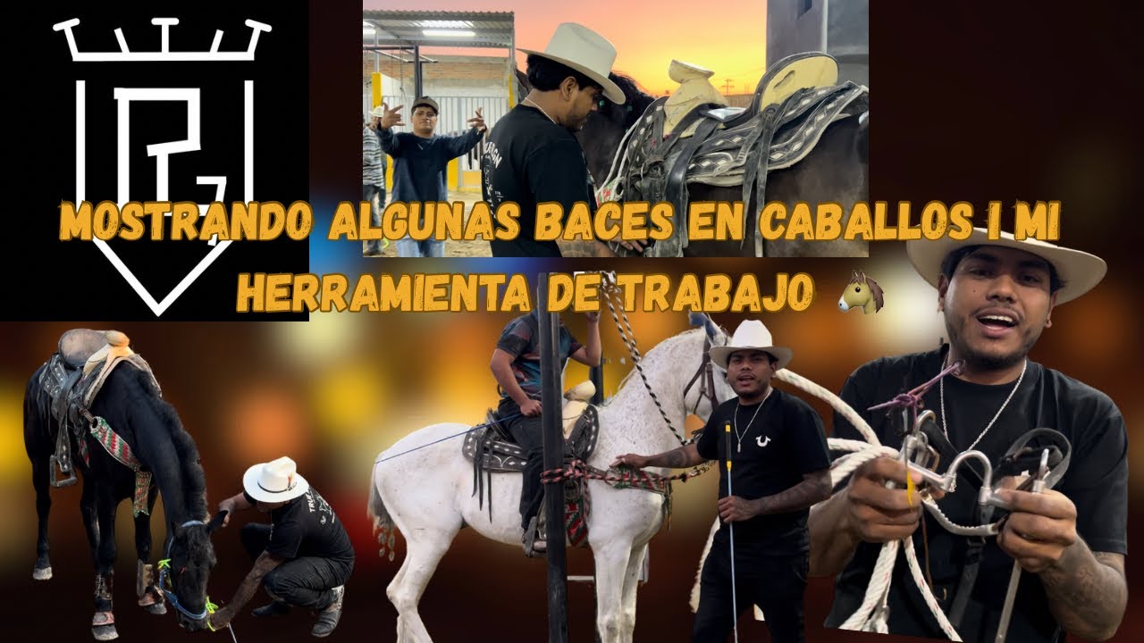 Un poco de mi herramienta de trabajo con los caballos y bases 🐴🏫!!!