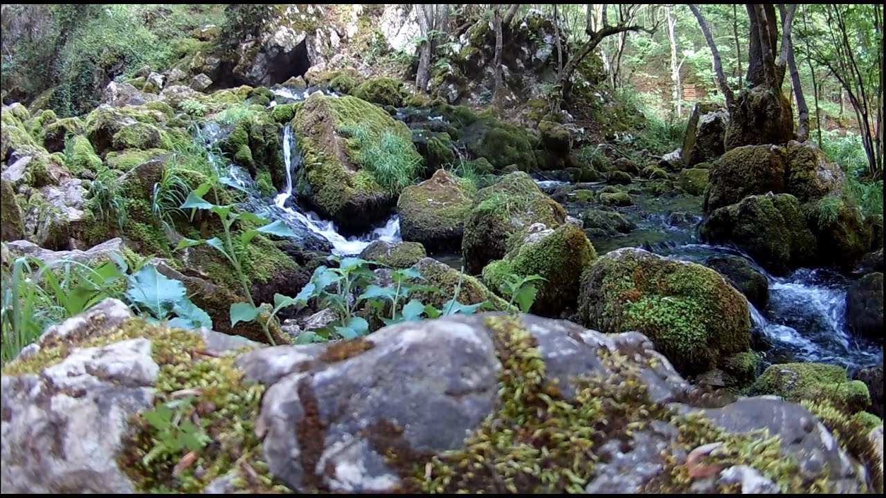 Kučajske planine i reka Grza