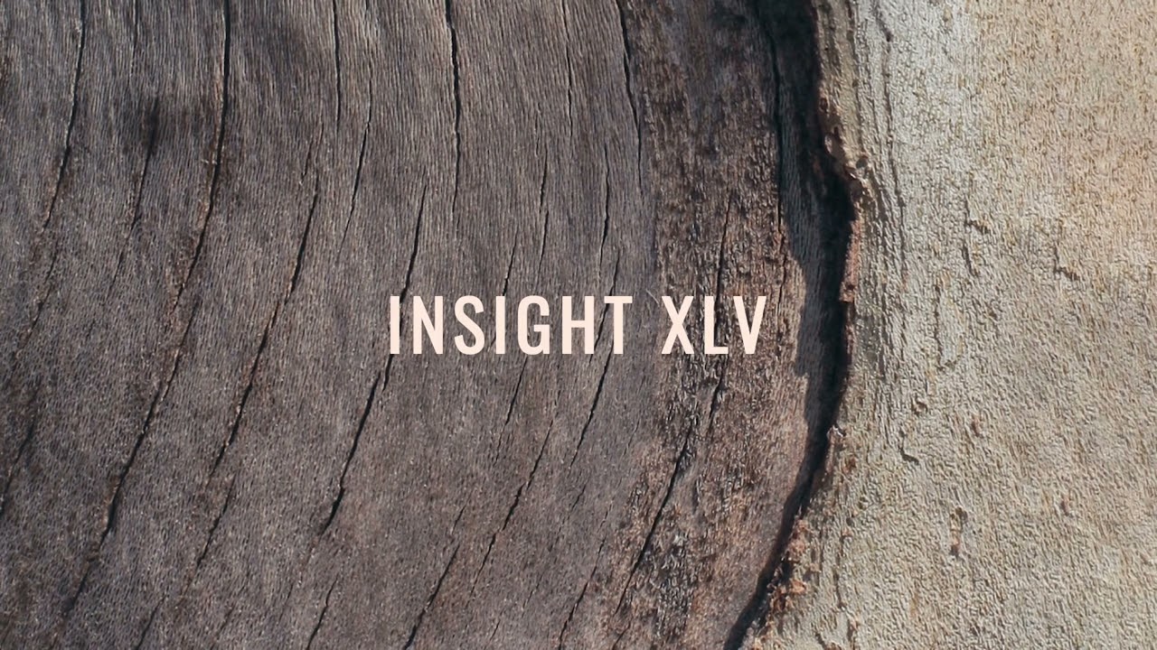 Julien Marchal - Insight XLV (Official Audio)
