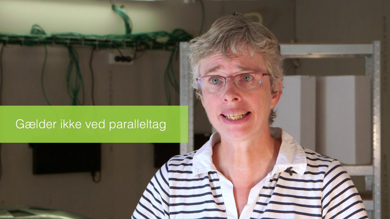 Fors&oslash;g med isolering af lofter