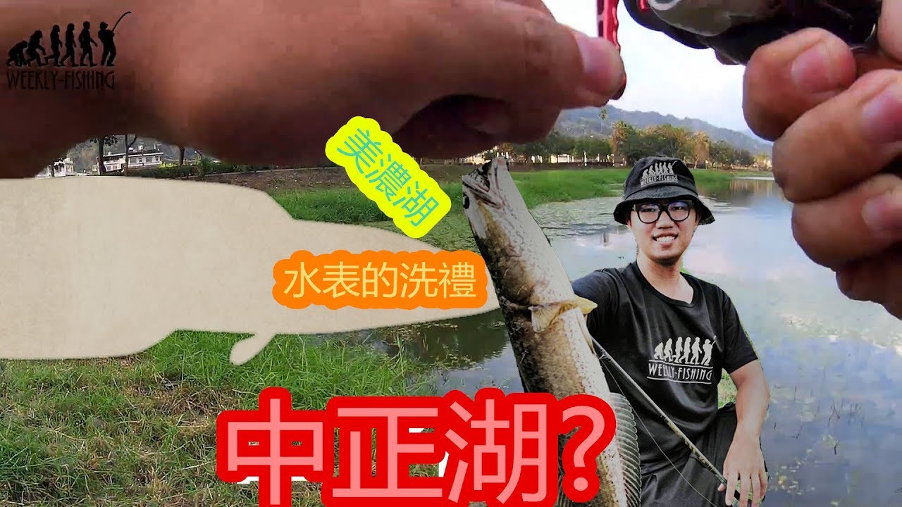 WEEKLY-FISHING LURE 路亞 擬餌 泰國鳢 呆呆 水表 中正湖 美濃湖 空拍 #7