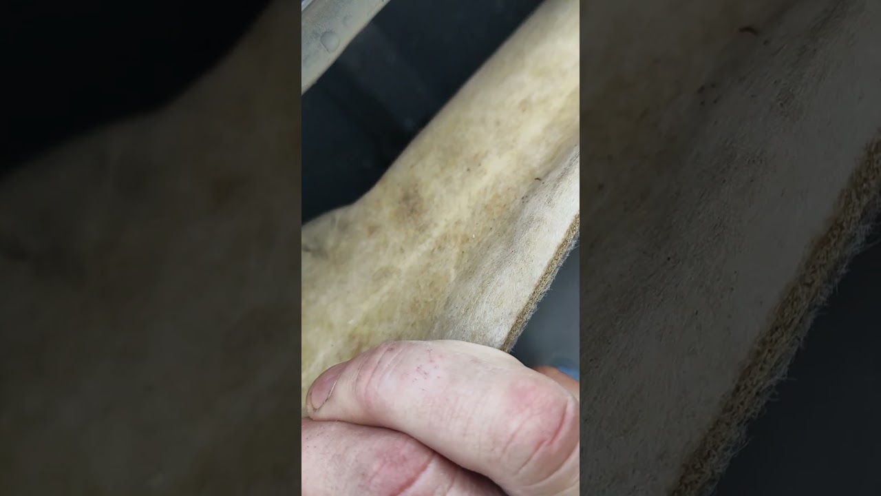 моя рио покрылась плесенью 🤮
