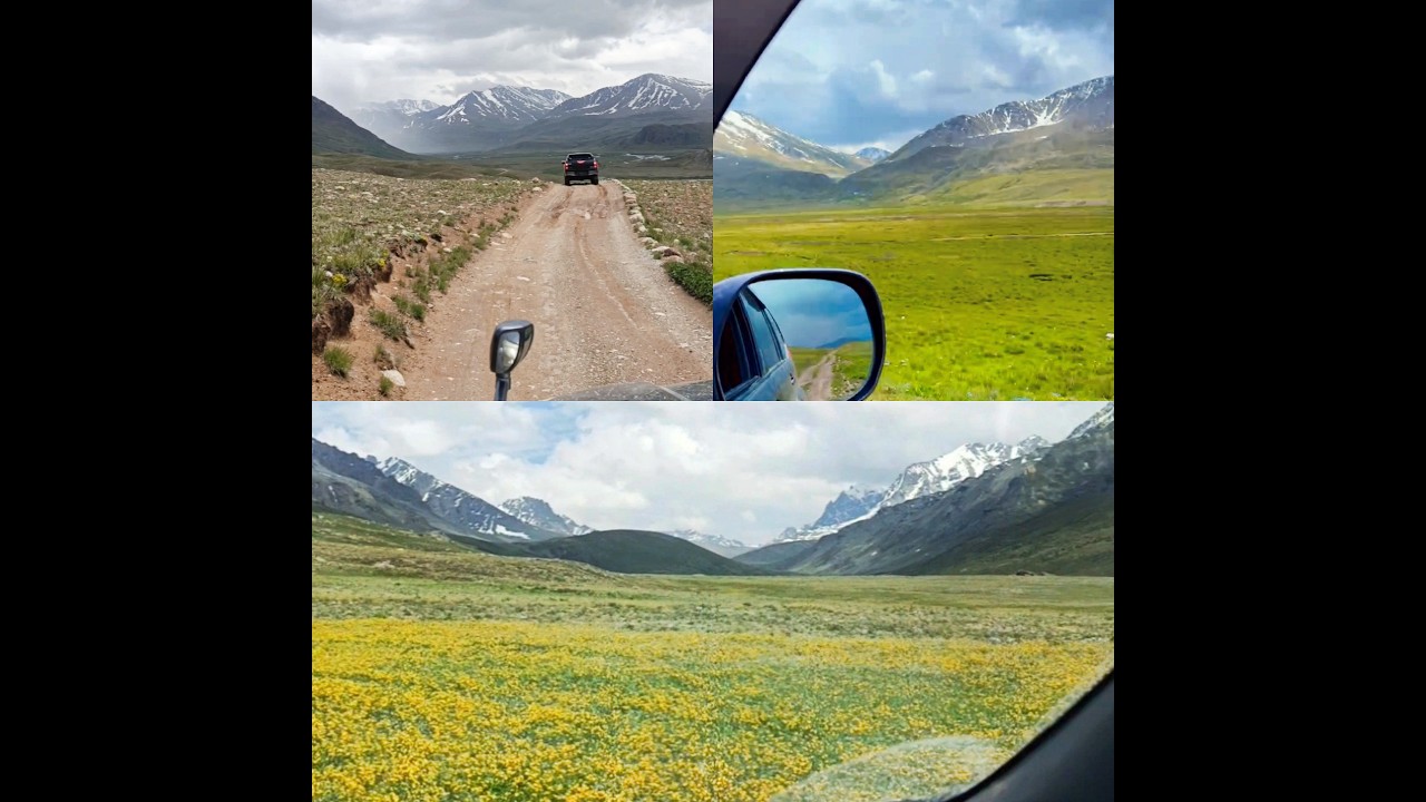 Pakistan Beyond Imagination 🇵🇰 |Skardu to Deosai, Astore, Sarfaranga cold desert, Gultari.
