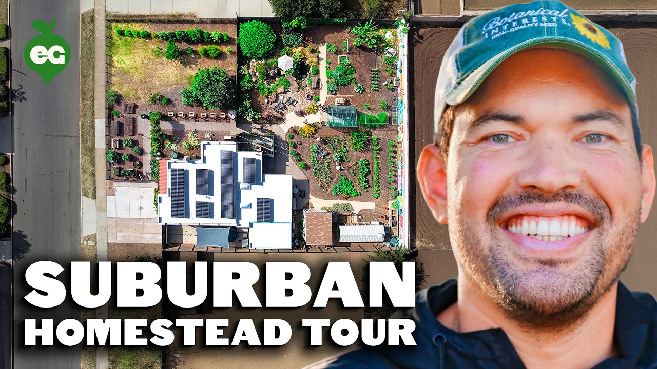 Turning a Dirt Lot Into a Suburban Homestead in 6 Years | Full Tour