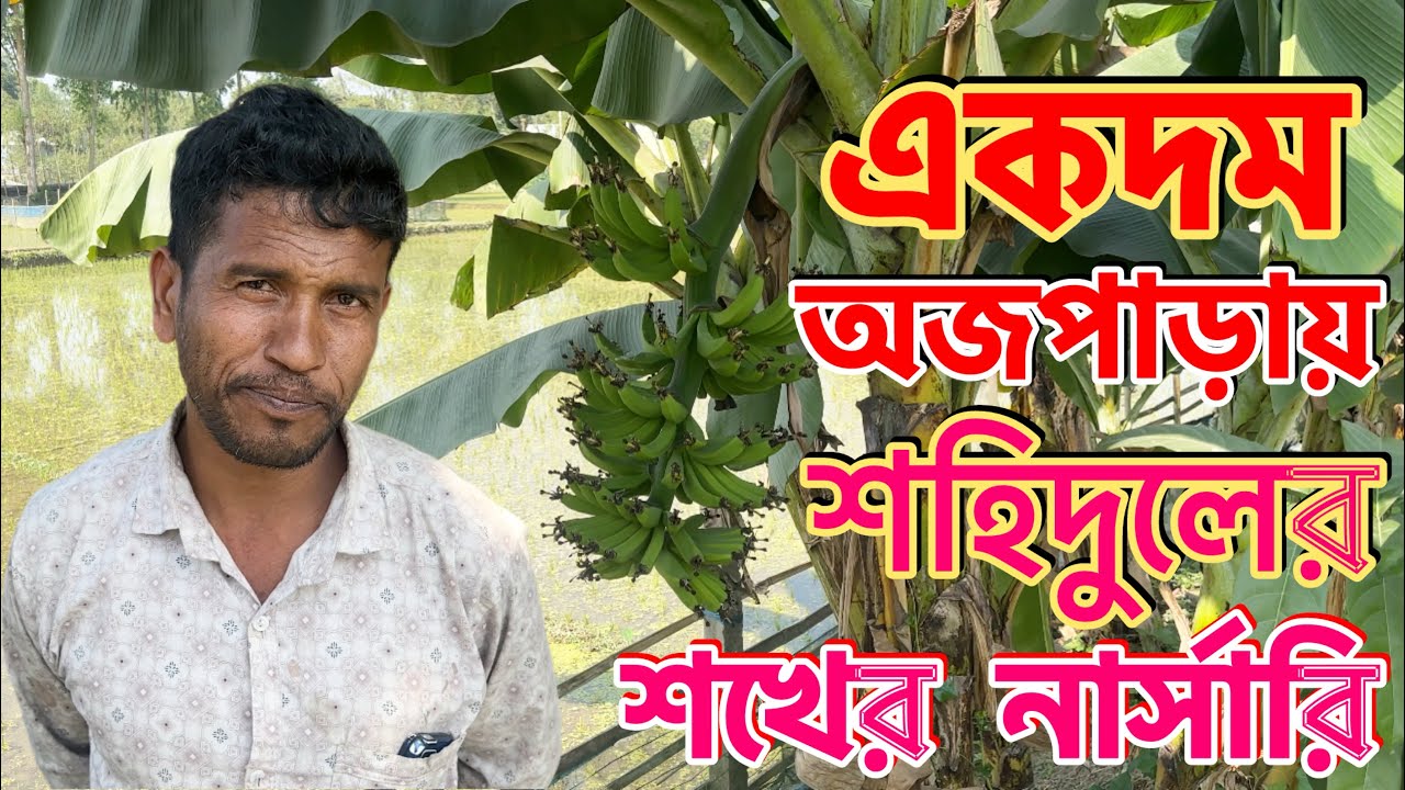 একদম অজপাড়ায় শহিদুলের শখের নার্সারি | কোনো রাস্তাঘাট, পরিবহন নাই | তবুও গাছই যার ধ‍্যান জ্ঞান 🌿💚