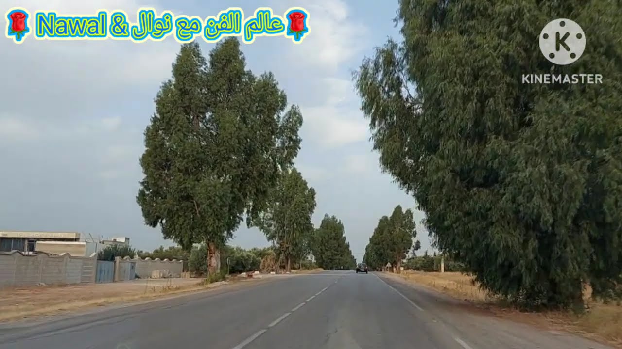 الشاب ماني البركاني _ Cheb Mani EL Berkani (لقيت اللي تفهمني) مع أجمل الجولات 🛣