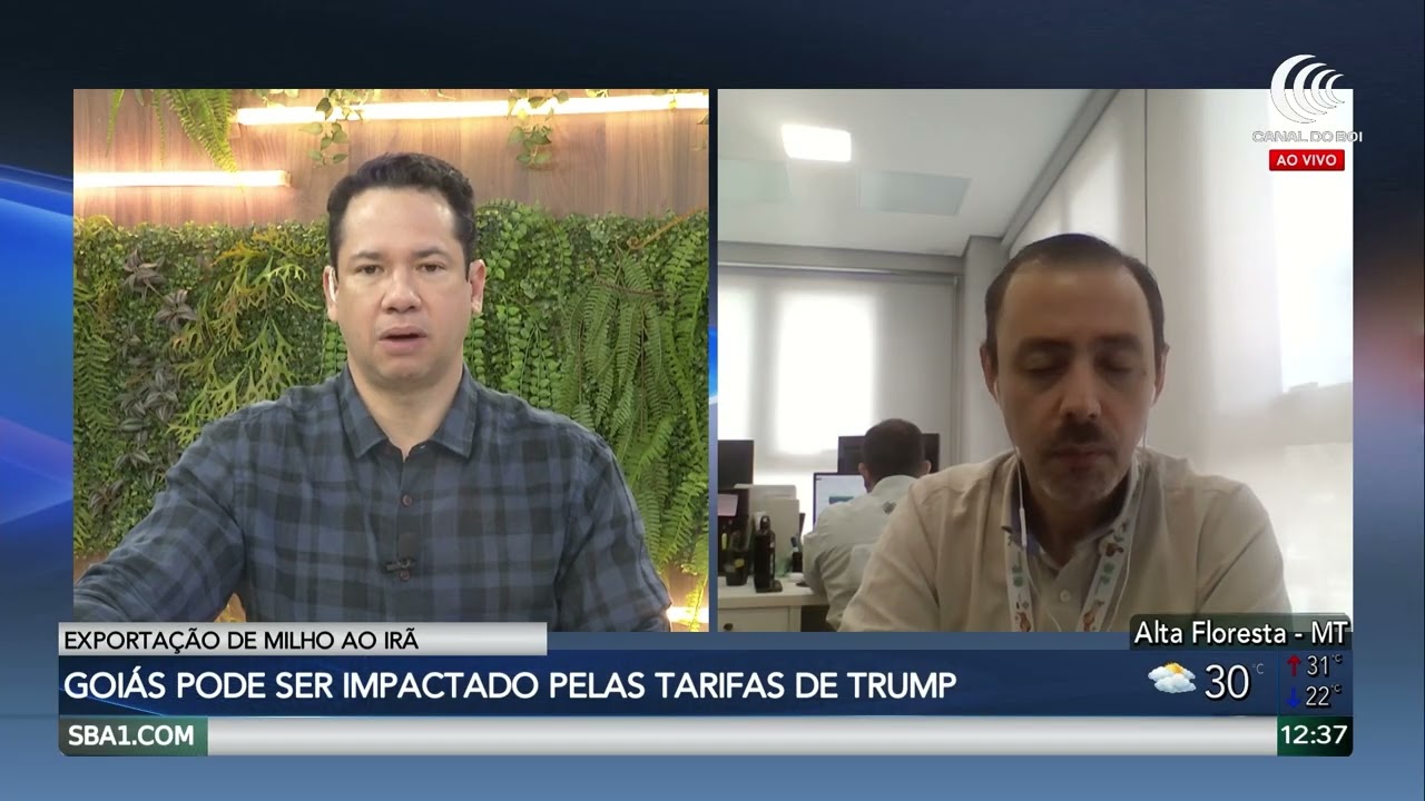 Goiás pode ser impactado pelas tarifas de Trump por exportar milho ao Irã