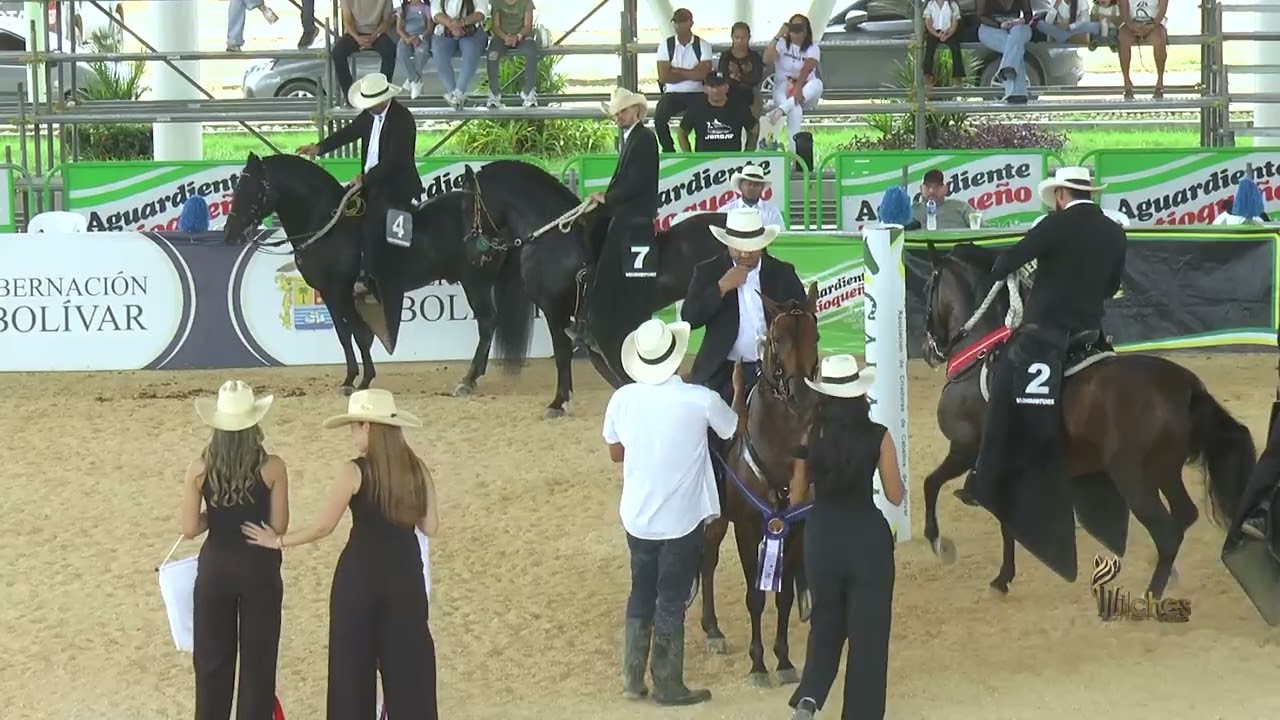 CONTENTOSO DE VILLA SOFIA, PRIMER FINALISTA TROTE Y GALOPE EXPO ARJONA GRADO B 2026