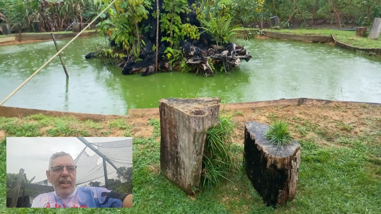 VISITA AO RANCHO STREMEL