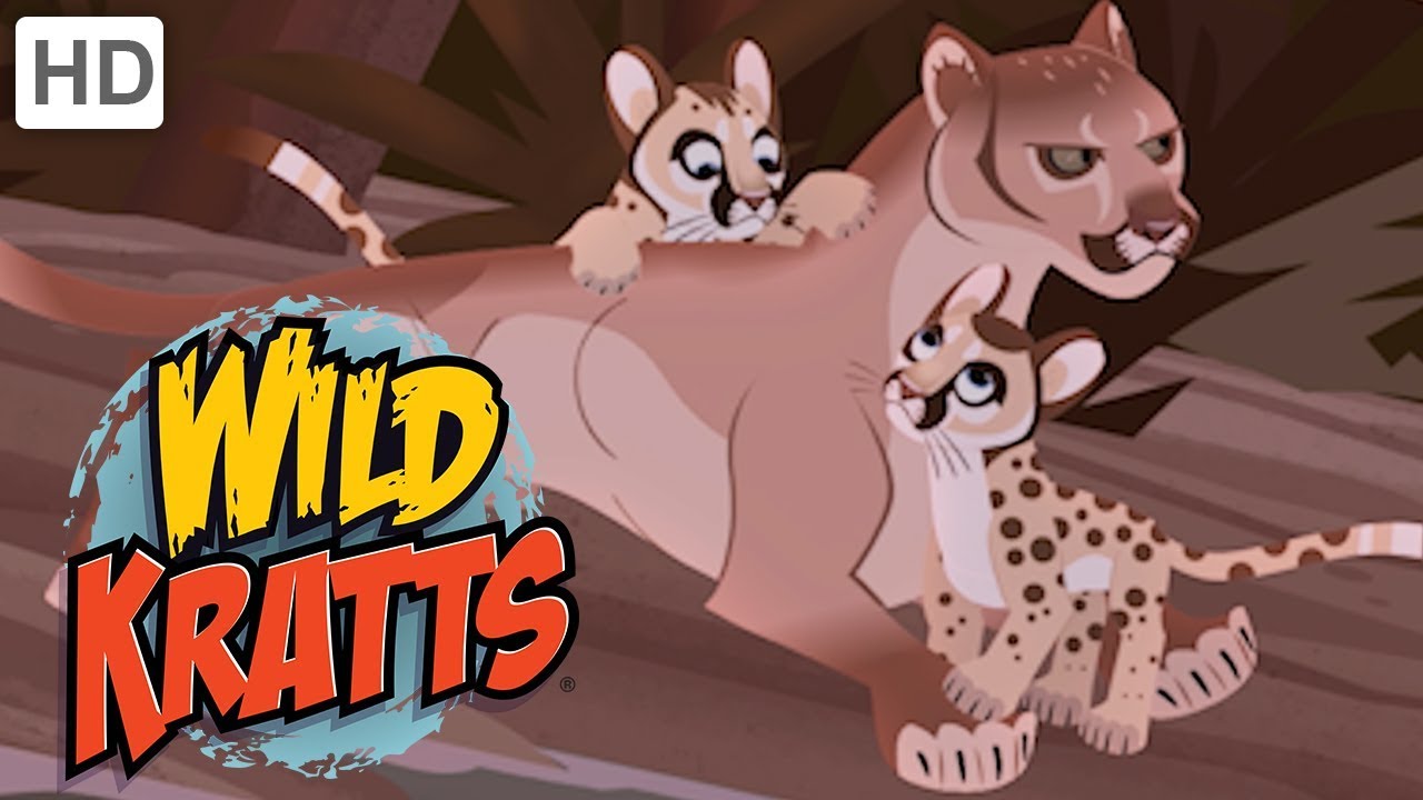 Wild Kratts 💐🐊 Mothers of the Wild | Kids Videos