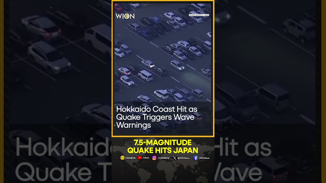 Waves Swell in Hokkaido as Tsunami Warnings Issued After Magnitude 7.5-magnitude Quake | WION Shorts