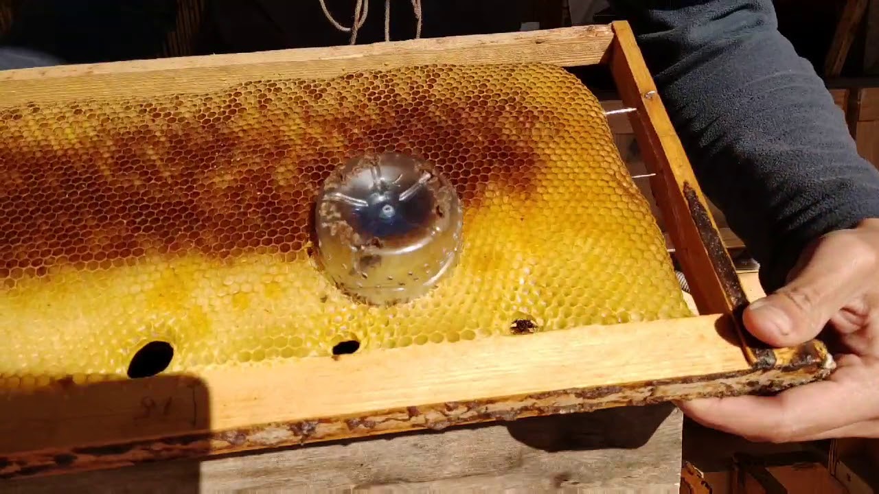 التقسيم الطبيعي على نظام أبو سلمان الجزء الثاني