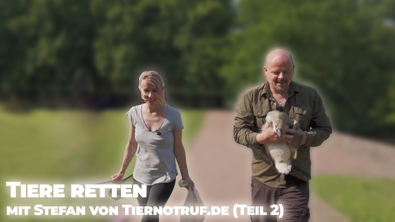 Tiere retten mit Stefan von Tiernotruf.de (Teil 2)