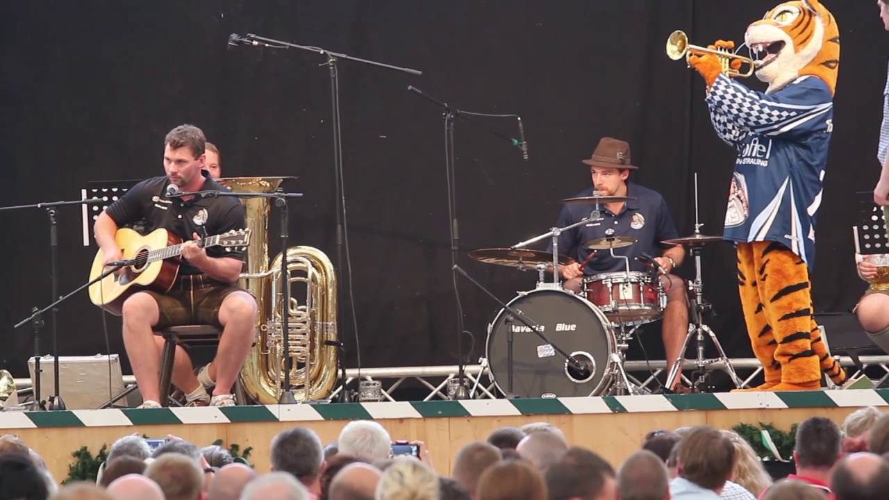 Die Tigers Band: Dylan Yeo und Austin Madaisky